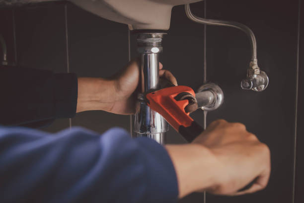 Best Local Plumber Services  in Dundas, MN