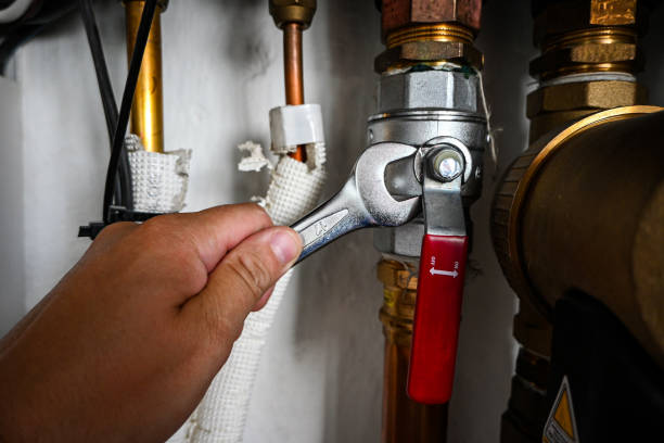Best Affordable Plumbing Services  in Dundas, MN